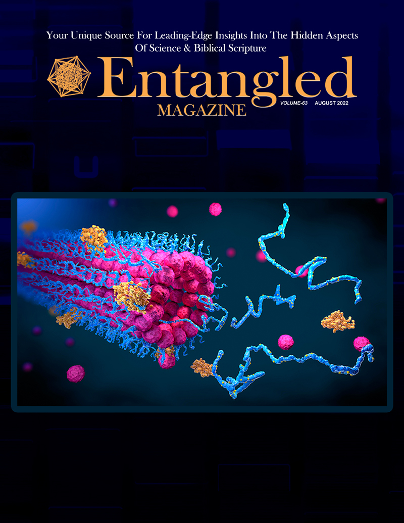 Subscribe to 'Entangled' Magazine