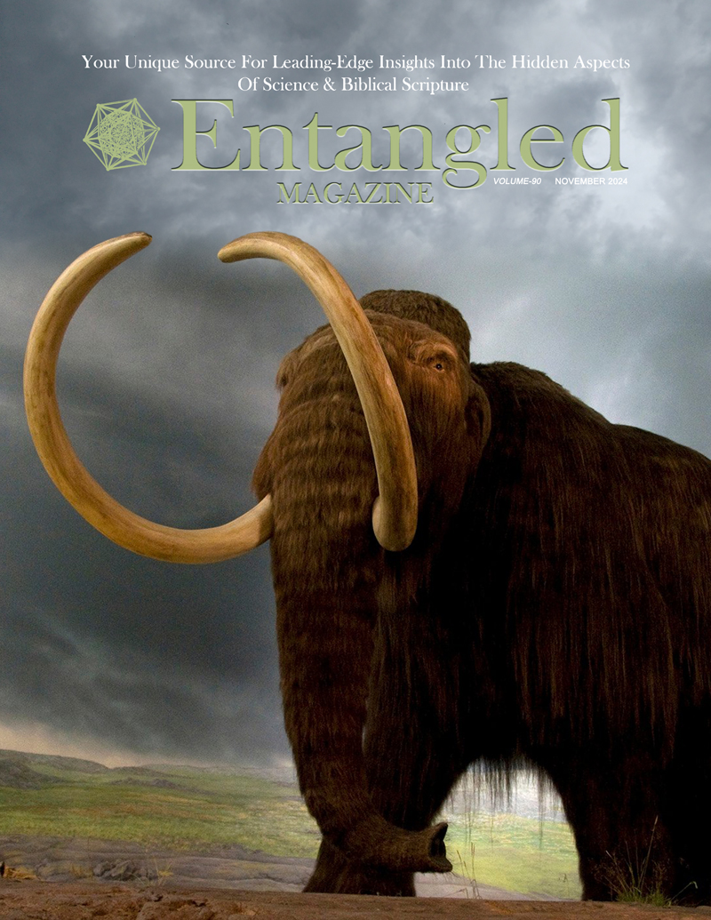 Subscribe to 'Entangled' Magazine